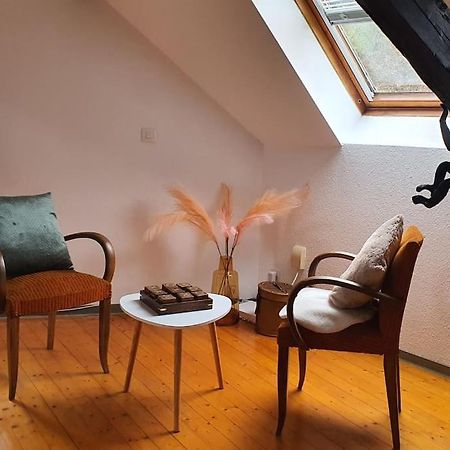 Loft Gaia Apartamento Brunstatt-Didenheim Exterior foto