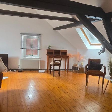 Loft Gaia Apartamento Brunstatt-Didenheim Exterior foto